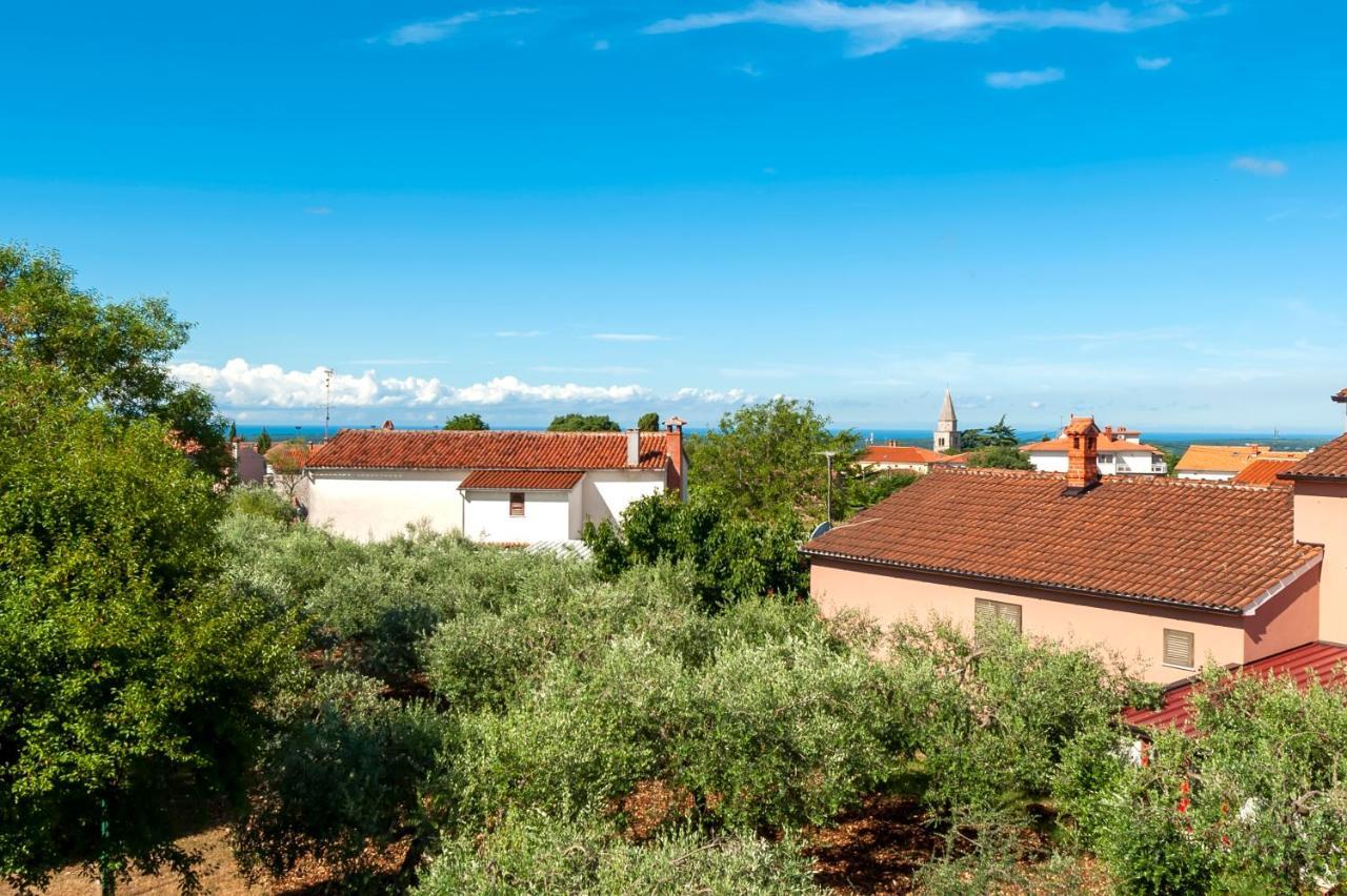 Villa Baraka With Private Pool Near Rovinj - Wiibuk Kanfanar Exterior photo